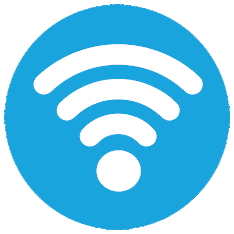 Moduł WIFI WP-500